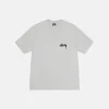 STUSSY CHERRIES TEE FOG