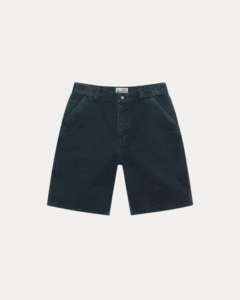 Stussy Water Shorts