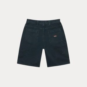 Stussy Water Shorts