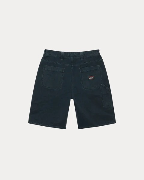 Stussy Water Shorts