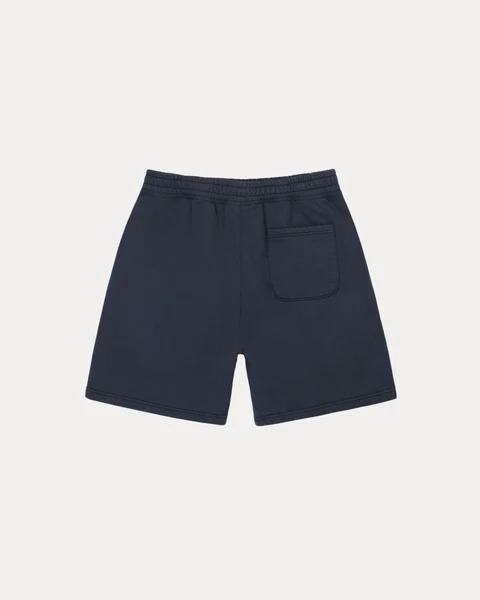 Stussy Navy Shorts